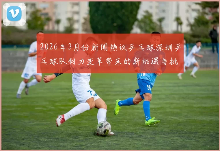 2026年3月份新闻热议乒乓球深圳乒乓球队耐力变革带来的新机遇与挑战