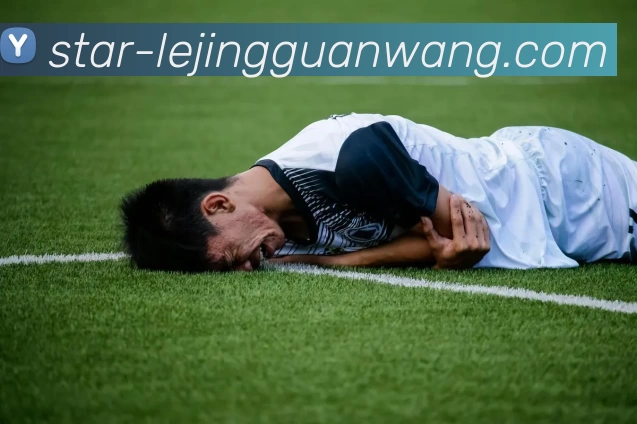 乐竟官网服务体系